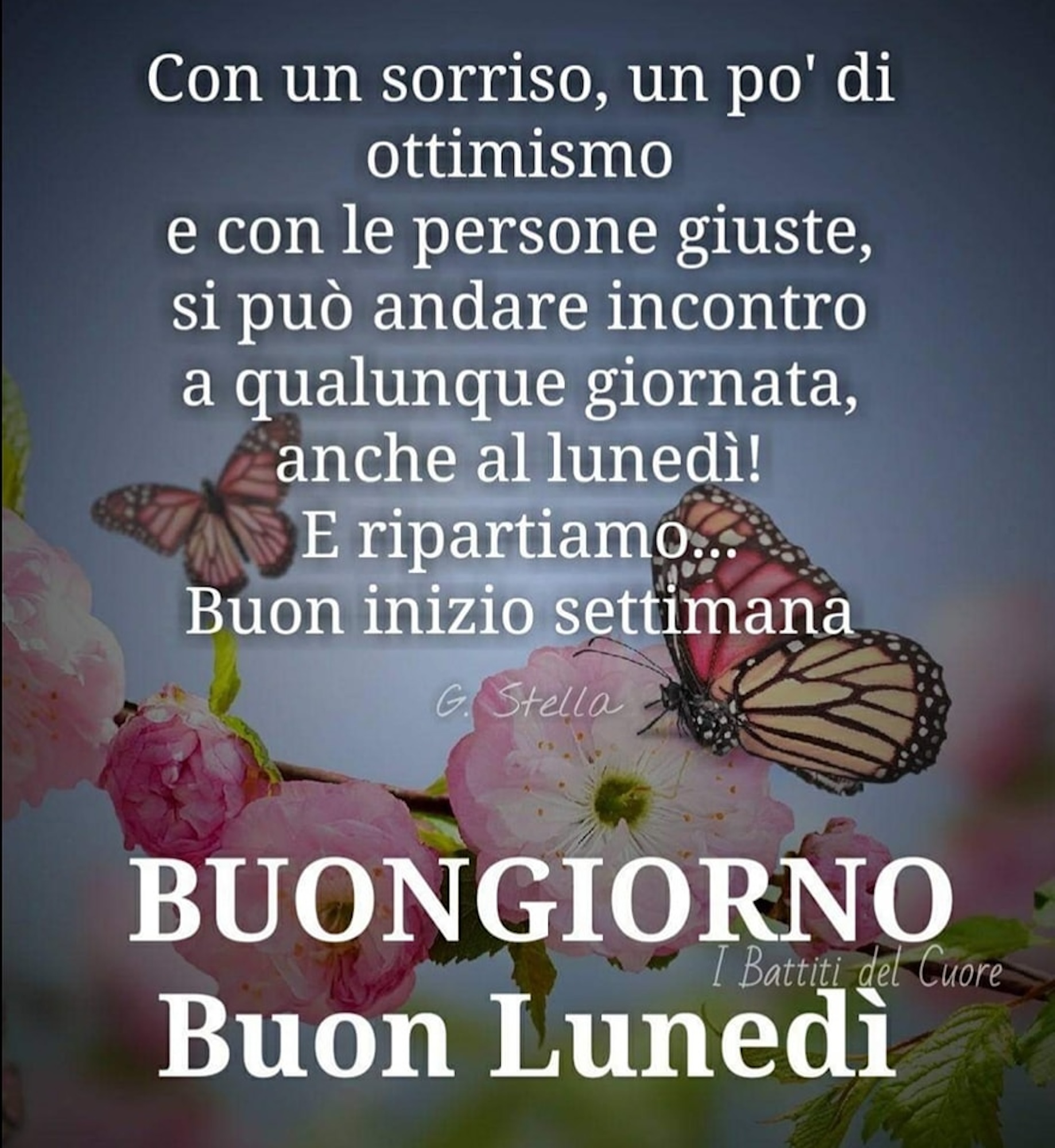 Per chi ama iniziare la nuova settimana con un saluto di buongiorno, abbinata ad una frase bella.