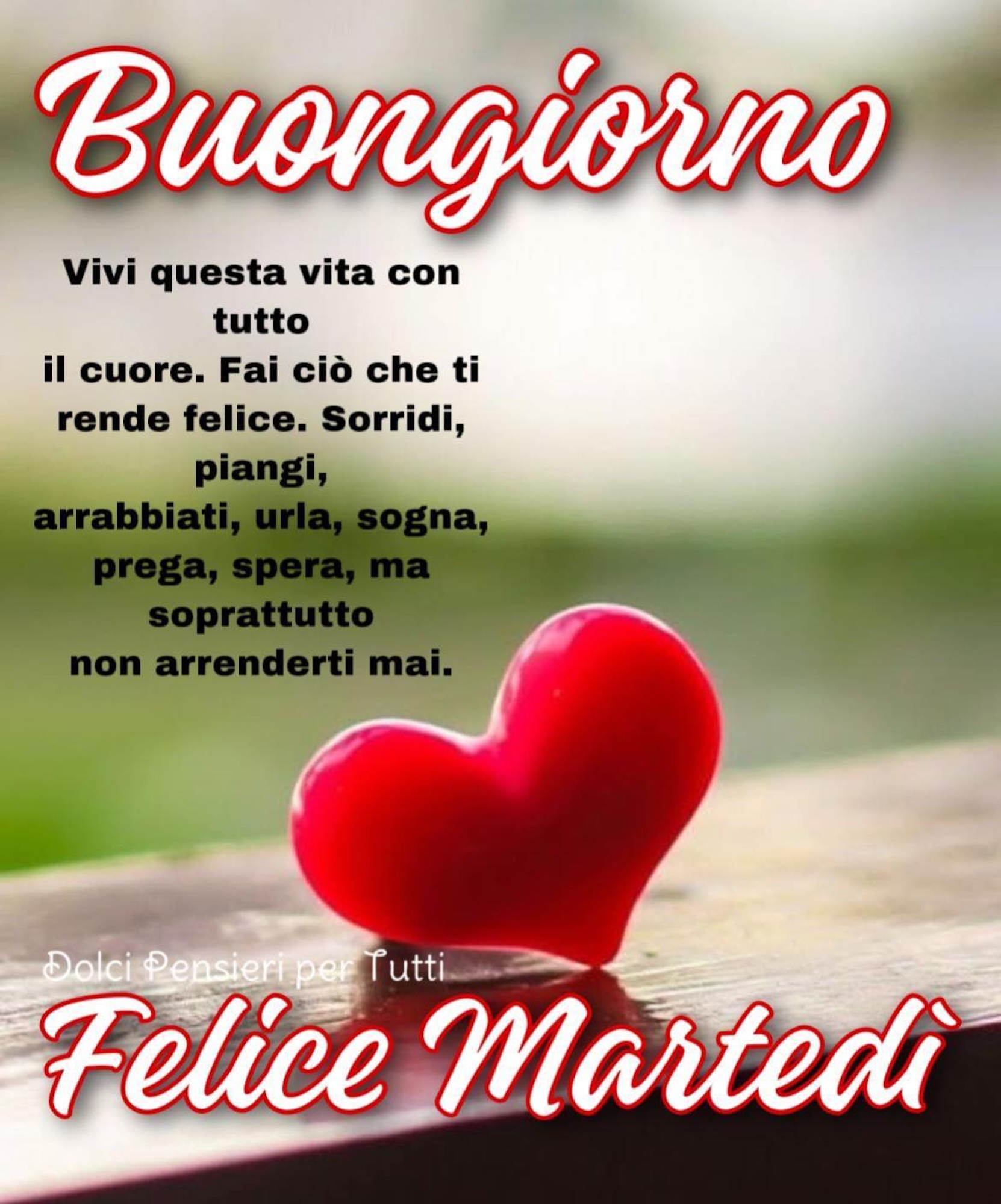 Se amate le frasi e le immagini di buongiorno, non potete non scegliere questa immagine e augurare a tutti un felice martedì.