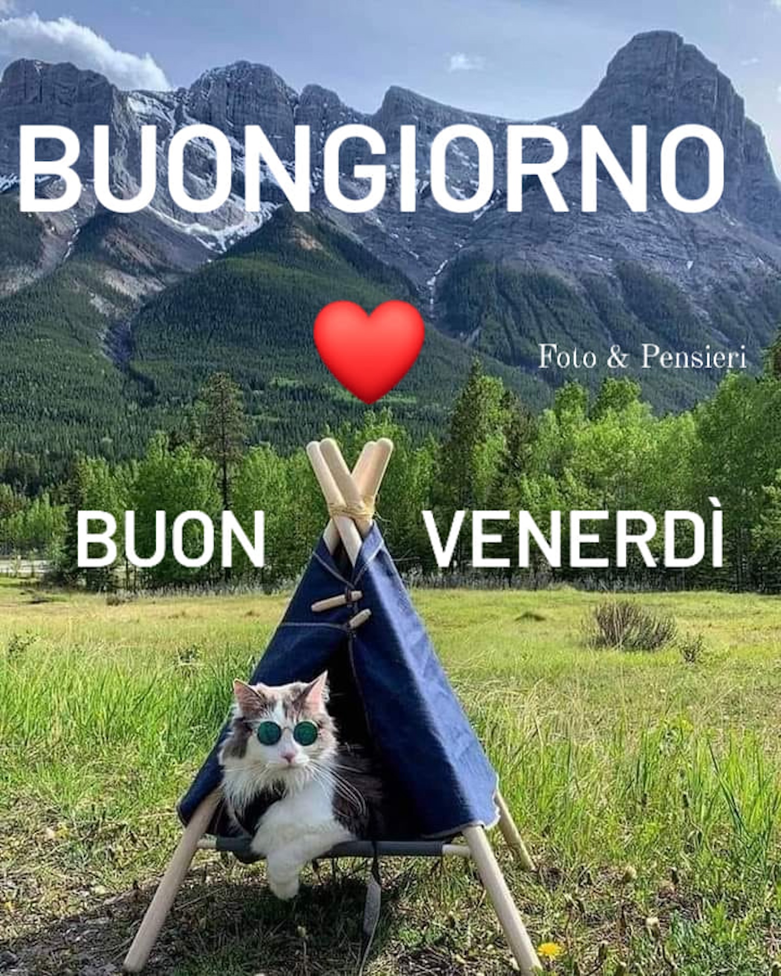 Questo simpatico gatto con gli occhiali alla John Lennon ci augura un venerdì divertentissimo.