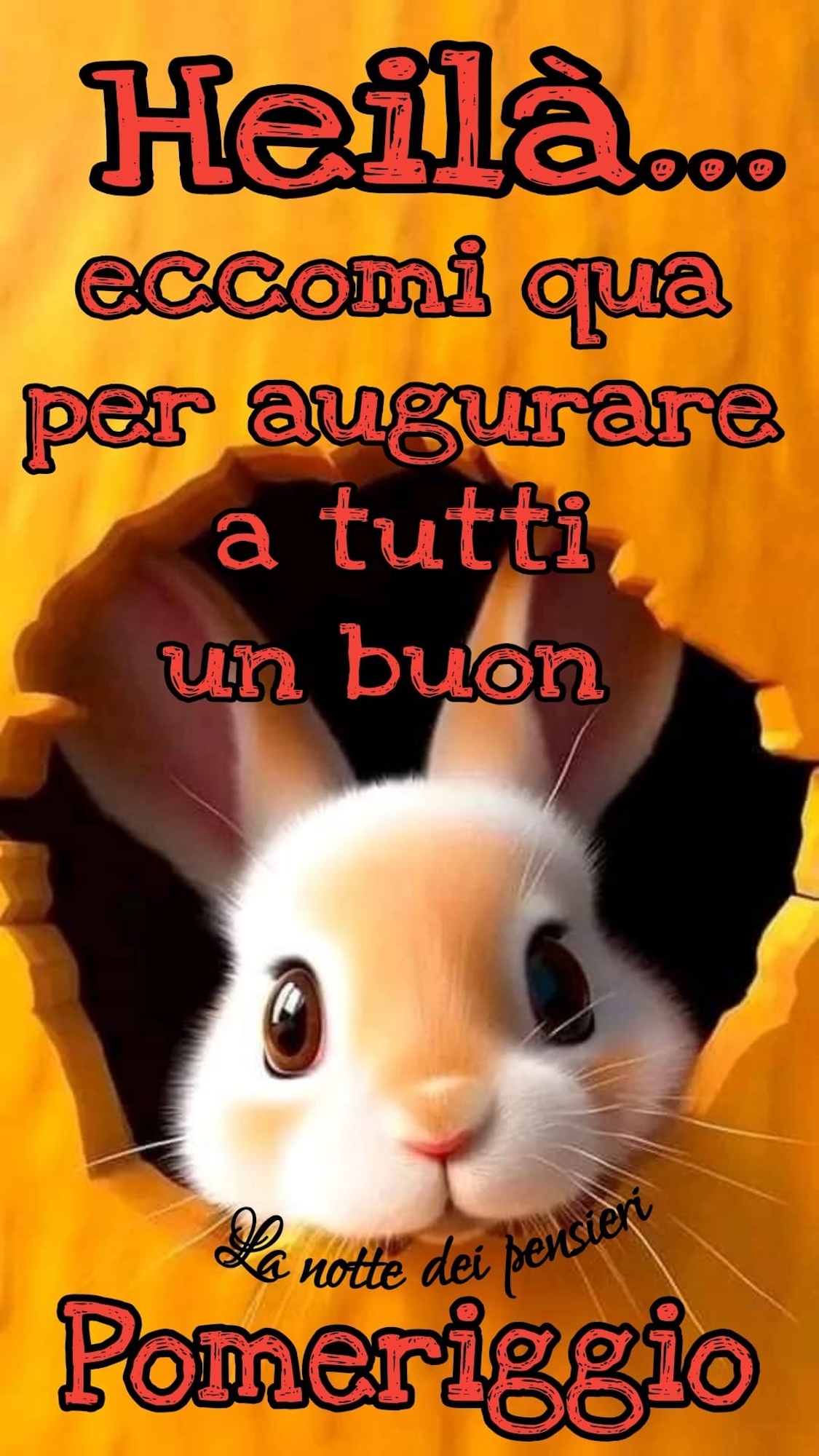 heilà buon pomeriggio a tutti