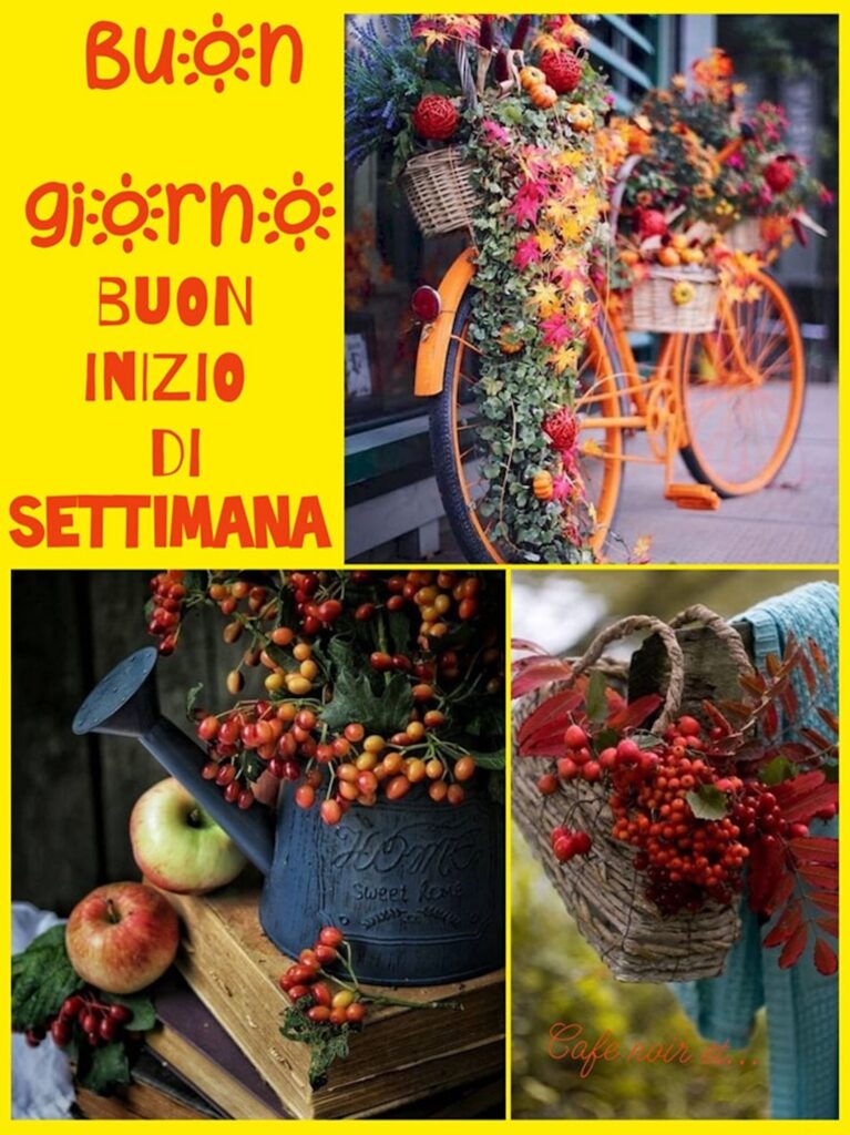 buon lunedì con bicicletta e fiorellini