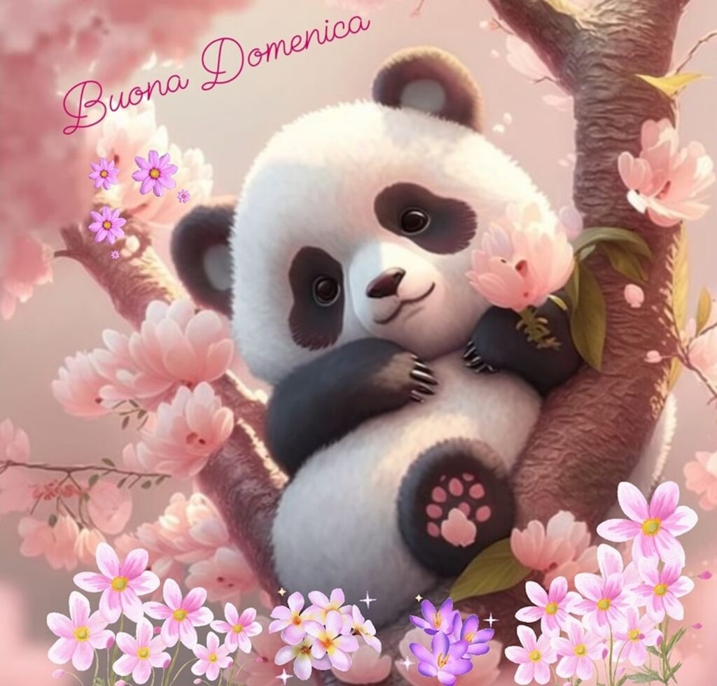 buona Domenica Panda