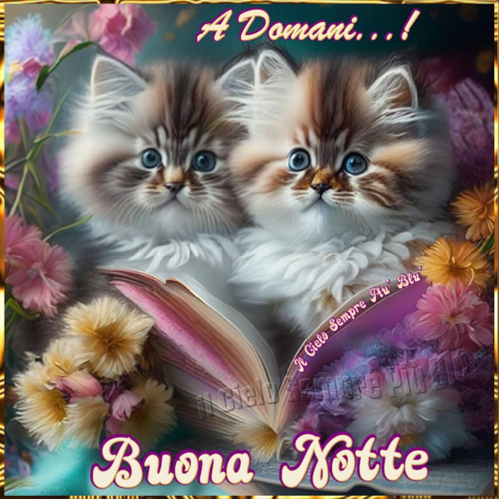 Due gattini dolcissimi per augurare a tutti una buona notte, e anzi di più... anche a domani, che è una bellissima promessa!