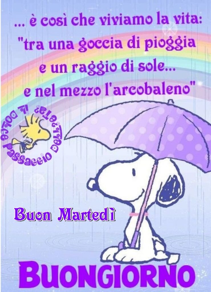 “... è così che viviamo la vita: tra una goccia di pioggia e un raggio di sole... e nel mezzo l'arcobaleno.” Buon Martedì buongiorno da Snoopy