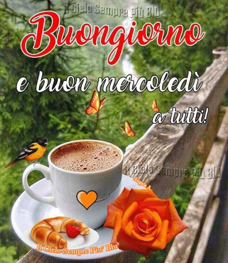 Buongiorno e buon mercoledì a tutti. 🧡