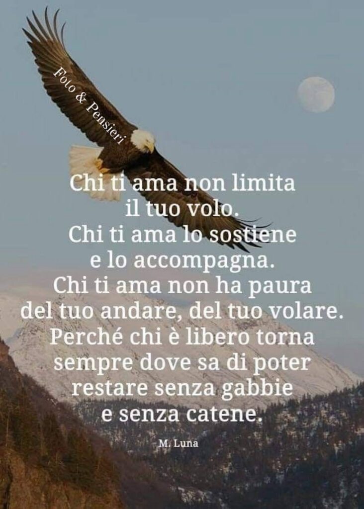 Chi ti ama non limita il tuo volo. Chi ti ama lo sostiene e lo accompagna. Chi ti ama non ha paura del tuo andare, del tuo volare. Perché chi è libero torna sempre dove sa di poter restare senza gabbie e senza catene. -M. Luna