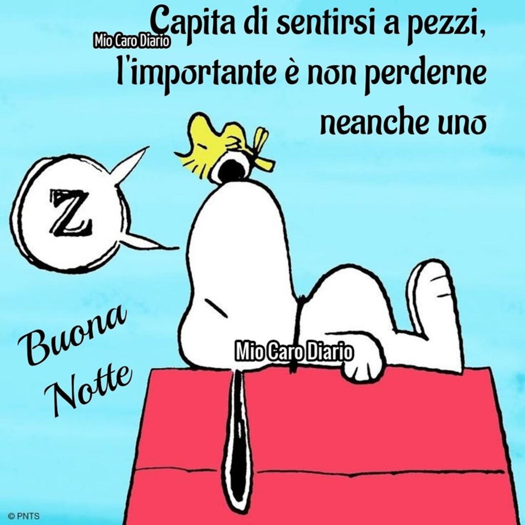 Capita di sentirsi a pezzi, l'importante è non perderne neanche uno. Buona Notte