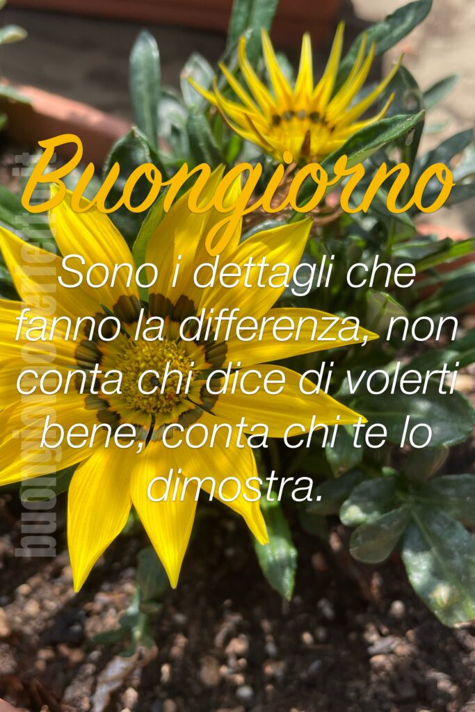 frasi e immagini nuove di buongiorno