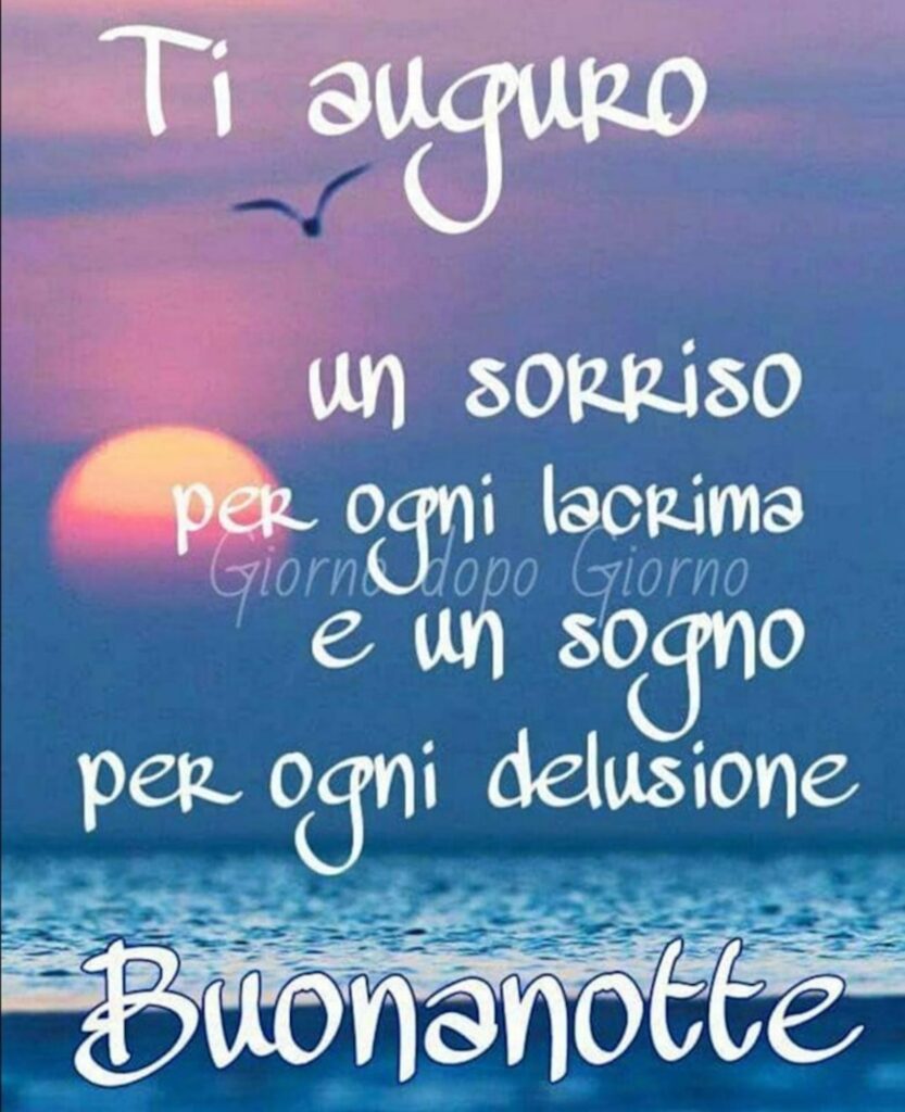 Ti auguro un sorriso per ogni lacrima e un sogno per ogni delusione. Buonanotte