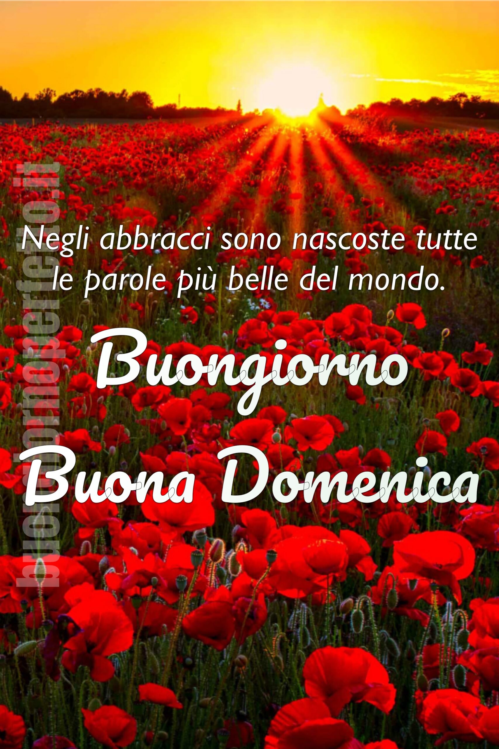 Bellissime immagini di Buona Domenica