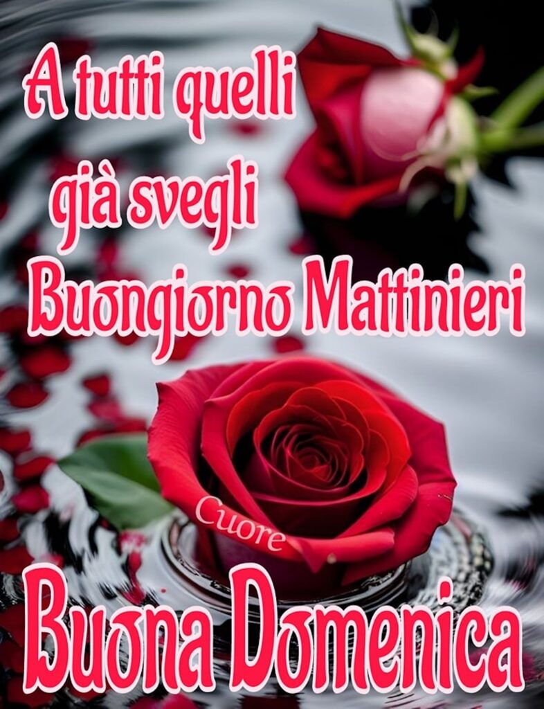 Una rosa è il perfetto sfondo per augurare un buongiorno con il cuore, la Domenica.