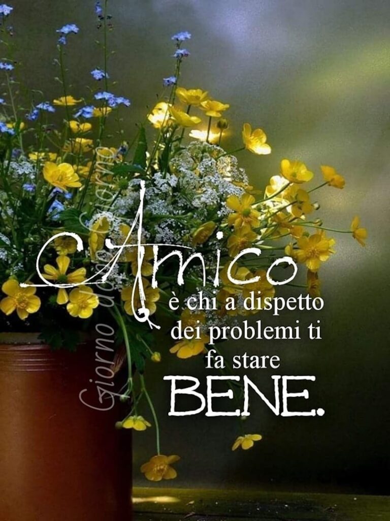 Frasi bellissime sugli amici e sull'amicizia