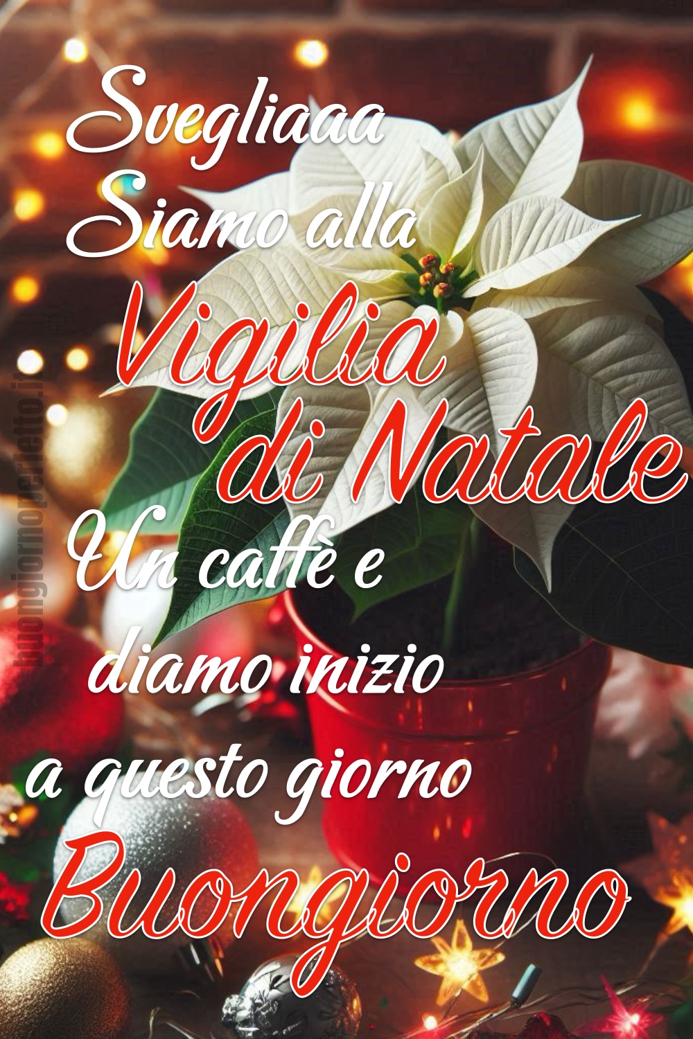 Immagini per la Vigilia di Natale